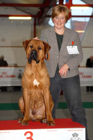 gal/Expo_janvier_2008/zoom (23).jpg